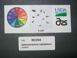 30354s.jpg