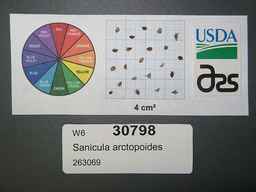 30798s.jpg
