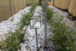 Ames_21102_93ncao01_SD_PL_FL_2012-06-01_01.jpg