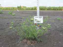 Ames_25608_09ncab01_SD_PL_XX_2010-08-18_02.jpg