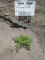 Ames_25608_09ncab01_SD_PL_XX_2011-07-06_01.jpg