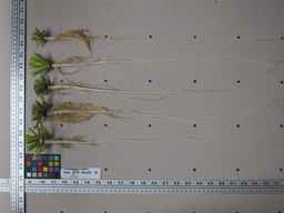 Ames_25729_09ncab01_SD_RT_XX_2013-02-01_02.jpg