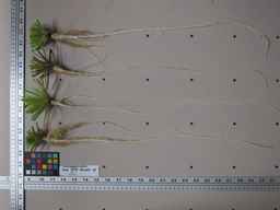 Ames_25729_09ncab01_SD_RT_XX_2013-02-01_03.jpg