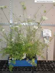 Ames_25755_99ncao01_SD_PL_XX_2003-03-18_01.jpg