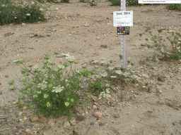 Ames_25814_99ncao01_SD_PL_XX_2010-09-15_01.jpg