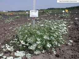 Ames_25848_04ncai01_SD_PL_XX_2008-08-18_02.jpg