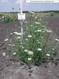 Ames_25898_04ncai01_SD_PL_XX_2008-08-18_01.jpg