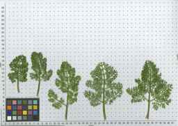 Ames_25898_10ncab01_SD_PL_LV_2010-07-26_01.jpg