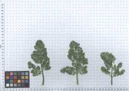 Ames_25898_10ncab01_SD_PL_LV_2011-07-11_02.jpg