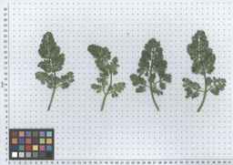 Ames_25898_10ncab01_SD_PL_LV_2012-06-12_01.jpg
