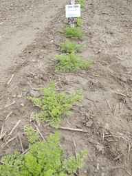 Ames_25898_10ncab01_SD_PL_XX_2012-06-07_03.jpg