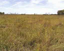 Ames_26113_00ncao01_SD_PL_IS_2000-09-15_02.jpg