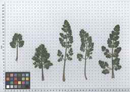 Ames_26381_10ncai01_SD_PL_LV_2012-05-16_01.jpg