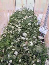 Ames_26383_01ncai01_SD_PL_XX_2012-04-04_02.jpg