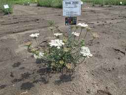Ames_26383_01ncao01_SD_PL_XX_2011-06-24_02.jpg