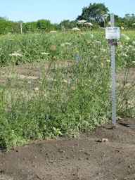 Ames_26387_01ncao01_SD_PL_XX_2011-06-28_04.jpg