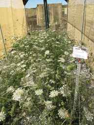 Ames_26408_01ncao01_SD_PL_XX_2012-06-22_02.jpg