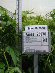 Ames_26970_03ncao01_SD_PL_FL_2006-05-18_01.jpg