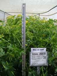 Ames_26970_03ncao01_SD_PL_FL_2006-05-22_01.jpg