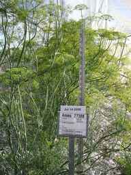 Ames_27388_04ncao01_SD_PL_FL_2008-07-14_01.jpg