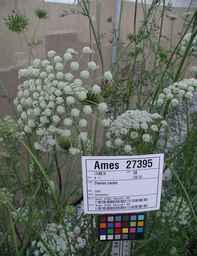 Ames_27395_04ncao01_SD_PL_UM_2009-07-17_03.jpg