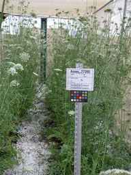 Ames_27395_04ncao01_SD_PL_XX_2009-07-17_02.jpg