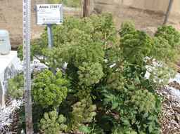 Ames_27507_04ncwo01_SD.JPG