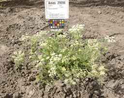 Ames_29096_07ncao01_SD_PL_XX_2012-07-20_01.jpg