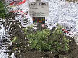 Ames_29109_07ncao01_SD_PL_XX_2012-07-10_02.jpg