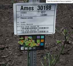 Ames_30198_09ncao01_SD_PL_UM_2010-07-13_01.jpg