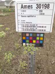 Ames_30198_10ncai01_SD_PL_UM_2012-06-29_02.jpg