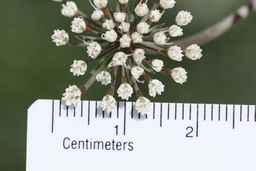 Ames_30292_09ncao01_SD_PL_CL_2011-08-19_03.jpg