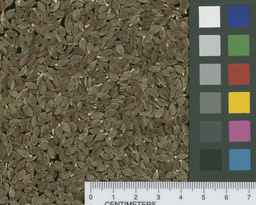 Ames_30297_09ncao01_SD_SD_SC_2009-11-17_01.jpg