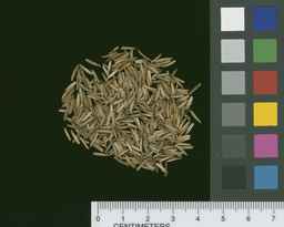 Ames_30300_09ncao01_SD_SD_SC_2009-11-17_01.jpg