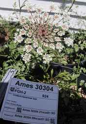 Ames_30304_09ncao01_SD_001.JPG