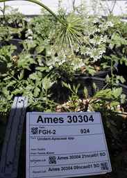 Ames_30304_09ncao01_SD_002.JPG