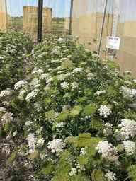 Ames_31193_11ncao01_SD_PL_XX_2012-07-10_03.jpg