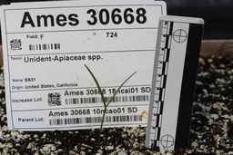 IMG_0835_LOAD_seedling.JPG