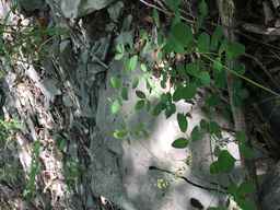 IMG_0869.JPG