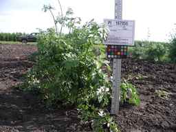 PI_167055_05ncei01_SD_PL_XX_2009-07-28_01.jpg