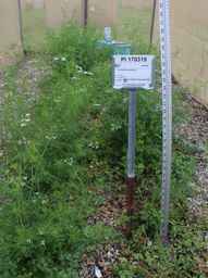 PI_170319_02ncai02_SD.JPG