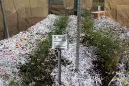 PI_193769_01ncai01_SD_PL_FL_2012-06-01_01.jpg