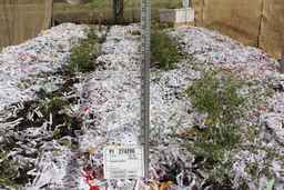 PI_274290_00ncai01_SD_PL_FL_2012-06-01_01.jpg