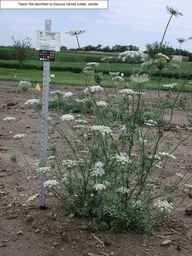 PI_274297_65ncai01_SD_PL_XX_2010-08-04_02.jpg