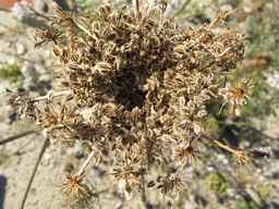 PI_274297_65ncai01_SD_SD_XX_2010-10-07_03.jpg