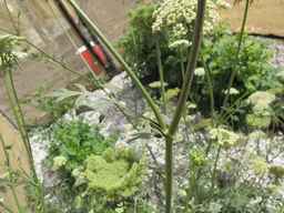 PI_279759_86ncei01_SD_PL_LV_2012-07-10_01.jpg
