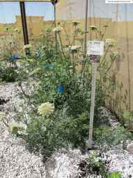 PI_279759_86ncei01_SD_PL_XX_2012-06-22_01.jpg