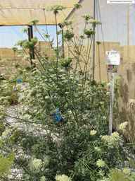 PI_279759_86ncei01_SD_PL_XX_2012-07-10_04.jpg