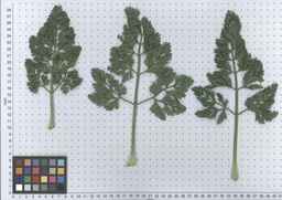 PI_279762_84ncai01_SD_PL_LV_2012-05-16_01.jpg