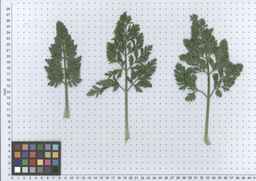 PI_279762_84ncai01_SD_PL_LV_2012-05-16_02.jpg